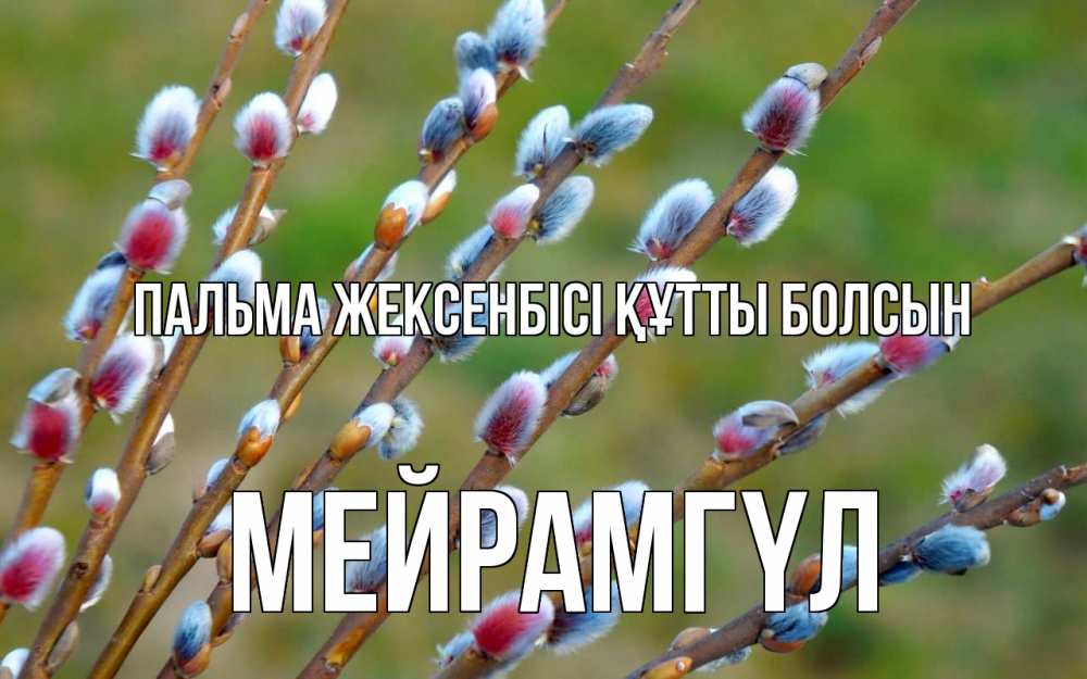 Күн сайын ашық хат с именем, МЕЙРАМГҮЛ Пальма жексенбісі құтты болсын верба Онлайн тегін жүктеп алу тілектері бар керемет карта 