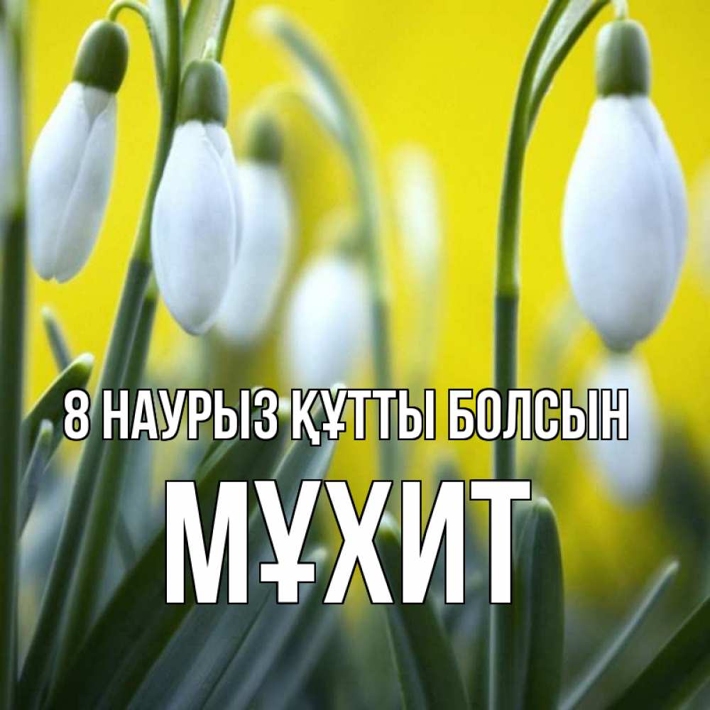 Күн сайын ашық хат с именем, МҰХИТ 8 наурыз құтты болсын весенние цветы Онлайн тегін жүктеп алу тілектері бар керемет карта 