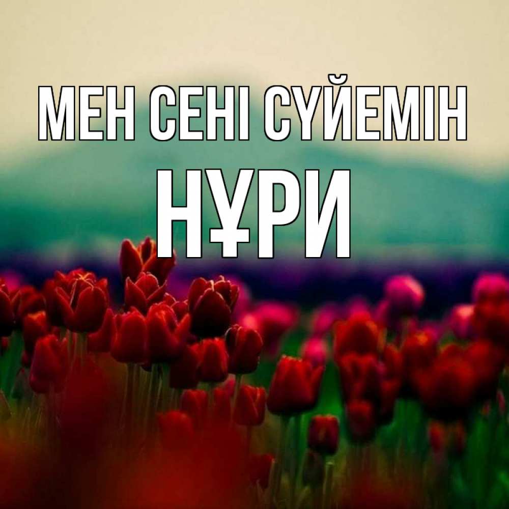 Күн сайын ашық хат с именем, НҰРИ Мен сені сүйемін тюльпаны 4 Онлайн тегін жүктеп алу тілектері бар керемет карта 