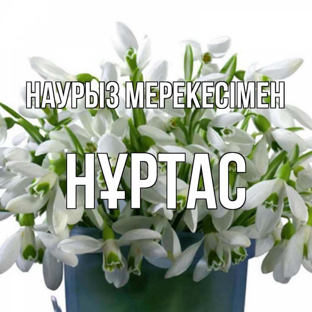 Күн сайын ашық хат с именем, НҰРТАС Наурыз мерекесімен цветы к наурызу новый год в Казахстане Онлайн тегін жүктеп алу тілектері бар керемет карта 