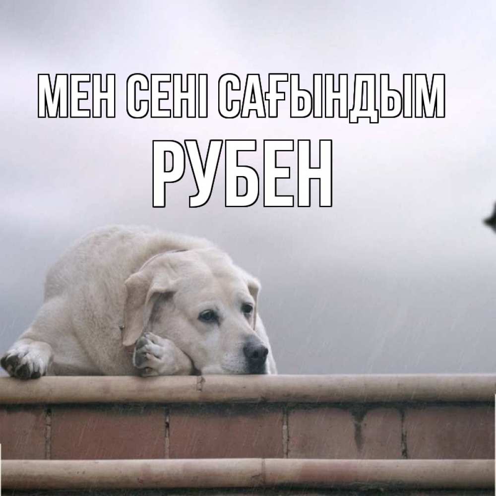 Күн сайын ашық хат с именем, Рубен Мен сені сағындым ждет Онлайн тегін жүктеп алу тілектері бар керемет карта 