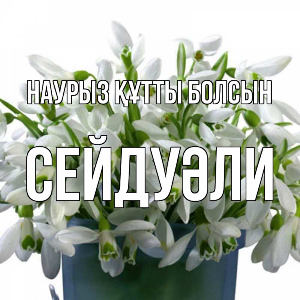 Күн сайын ашық хат с именем, СЕЙДУӘЛИ Наурыз құтты болсын цветы к наурызу Онлайн тегін жүктеп алу тілектері бар керемет карта 