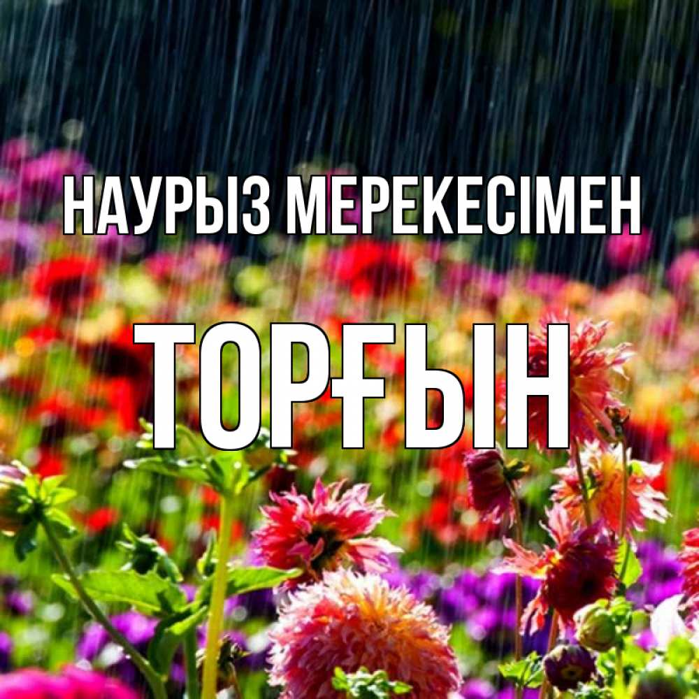 Күн сайын ашық хат с именем, ТОРҒЫН Наурыз мерекесімен цветы под дождиком к международному женскому дню Онлайн тегін жүктеп алу тілектері бар керемет карта 