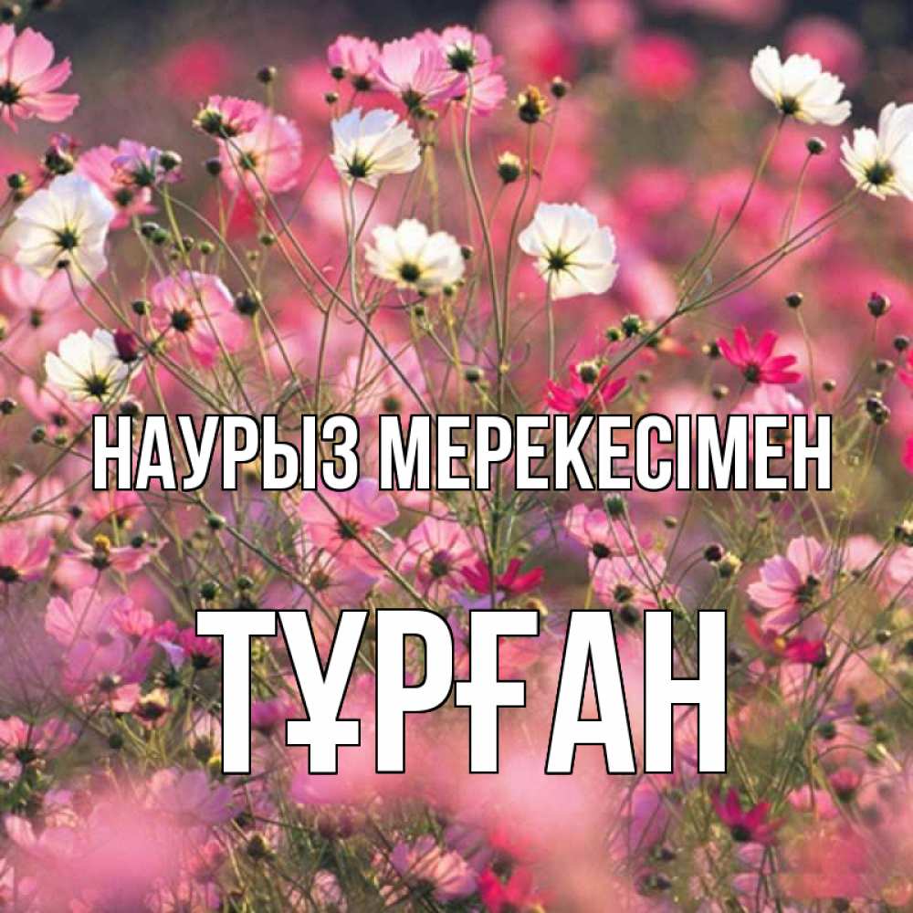 Күн сайын ашық хат с именем, ТҰРҒАН Наурыз мерекесімен красиво 1 Онлайн тегін жүктеп алу тілектері бар керемет карта 