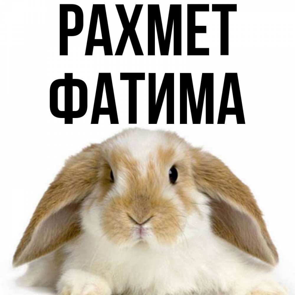 Күн сайын ашық хат с именем, ФАТИМА рахмет коричнево белый заяц Онлайн тегін жүктеп алу тілектері бар керемет карта 