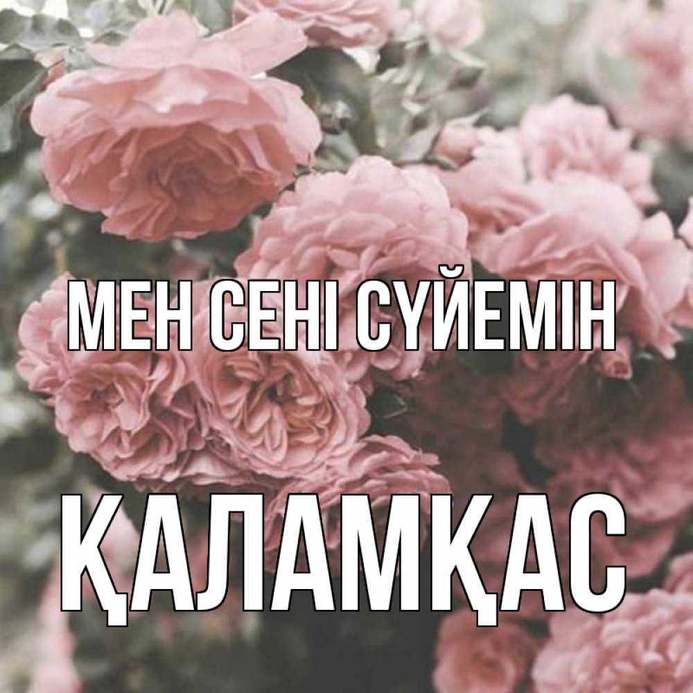 Күн сайын ашық хат с именем, ҚАЛАМҚАС Мен сені сүйемін розы 3 Онлайн тегін жүктеп алу тілектері бар керемет карта 