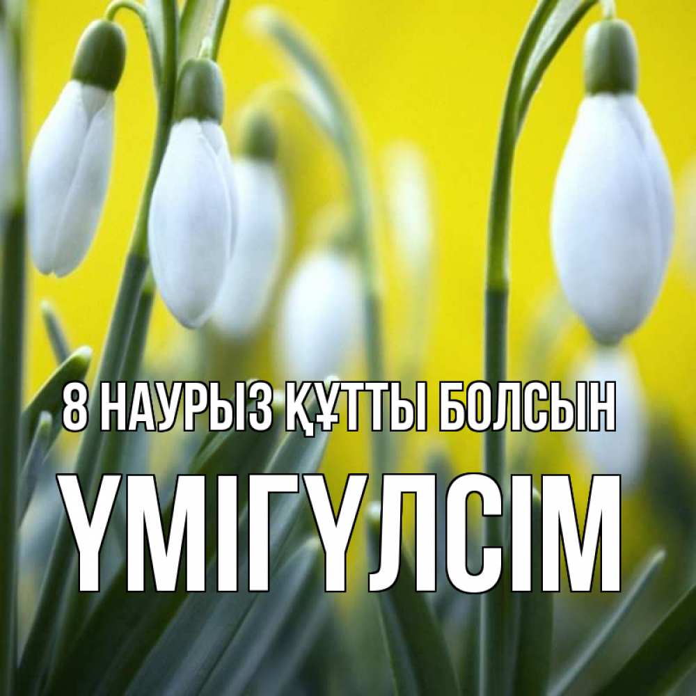 Күн сайын ашық хат с именем, ҮМІГҮЛСІМ 8 наурыз құтты болсын весенние цветы Онлайн тегін жүктеп алу тілектері бар керемет карта 