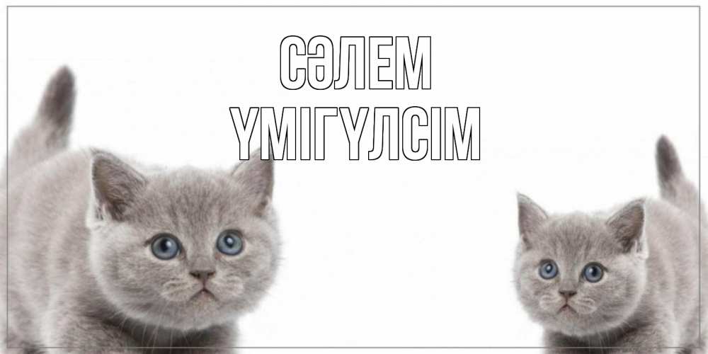 Күн сайын ашық хат с именем, ҮМІГҮЛСІМ Сәлем коты Онлайн тегін жүктеп алу тілектері бар керемет карта 