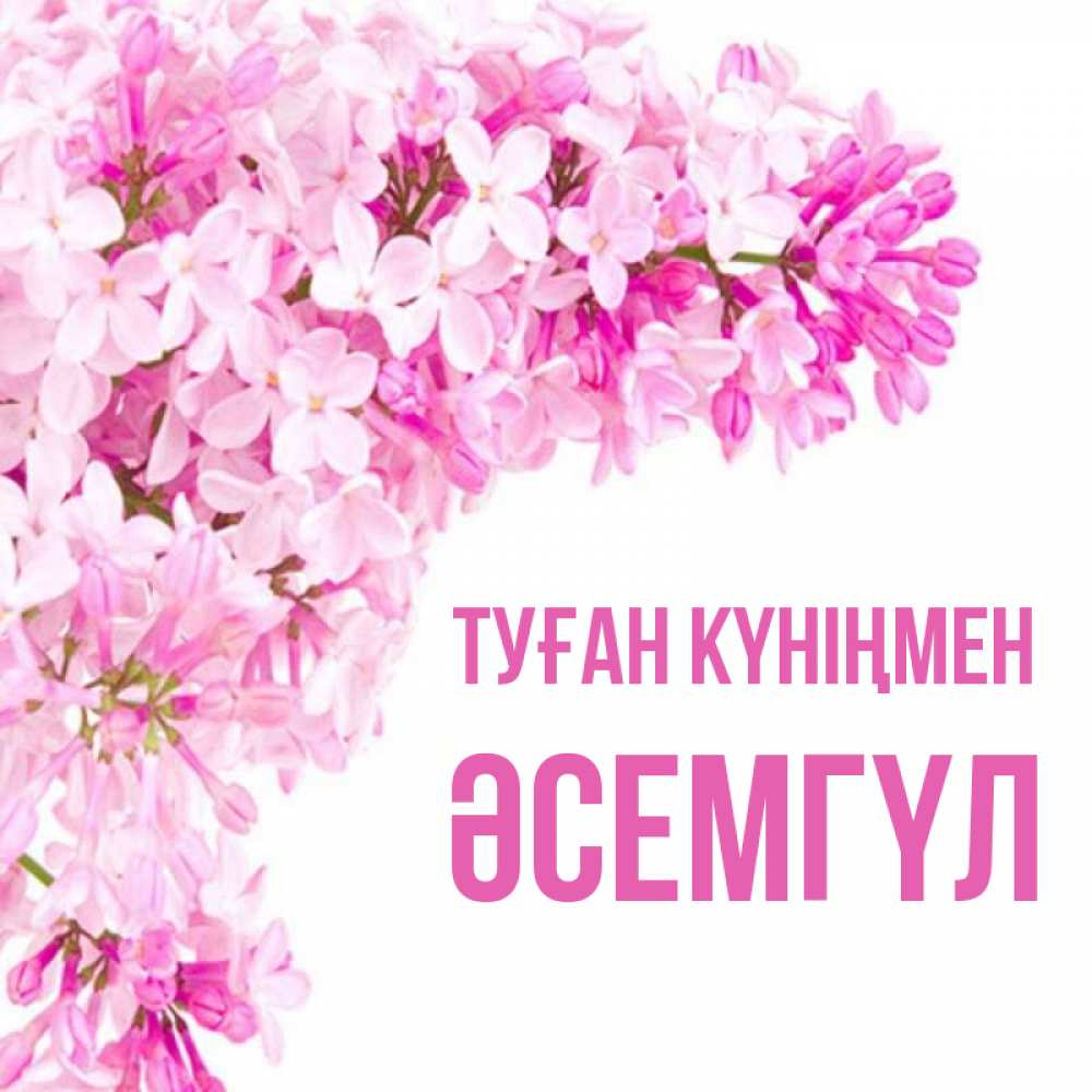Күн сайын ашық хат с именем, ӘСЕМГҮЛ Туған күніңмен Сирень на белом фоне Онлайн тегін жүктеп алу тілектері бар керемет карта 