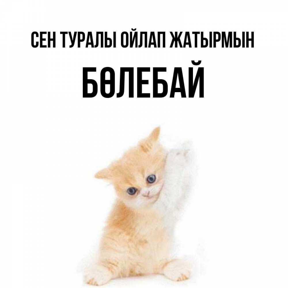 Күн сайын ашық хат с именем, Бөлебай Сен туралы ойлап жатырмын зверушки и милота Онлайн тегін жүктеп алу тілектері бар керемет карта 