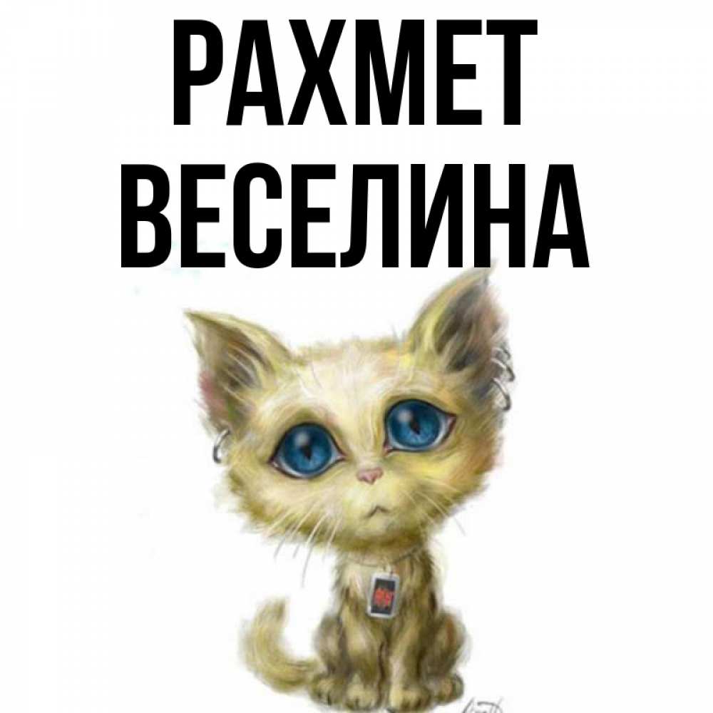 Күн сайын ашық хат с именем, Веселина рахмет рисованный кот благодарит вас Онлайн тегін жүктеп алу тілектері бар керемет карта 