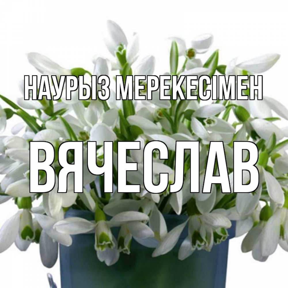 Күн сайын ашық хат с именем, Вячеслав Наурыз мерекесімен цветы к наурызу новый год в Казахстане Онлайн тегін жүктеп алу тілектері бар керемет карта 