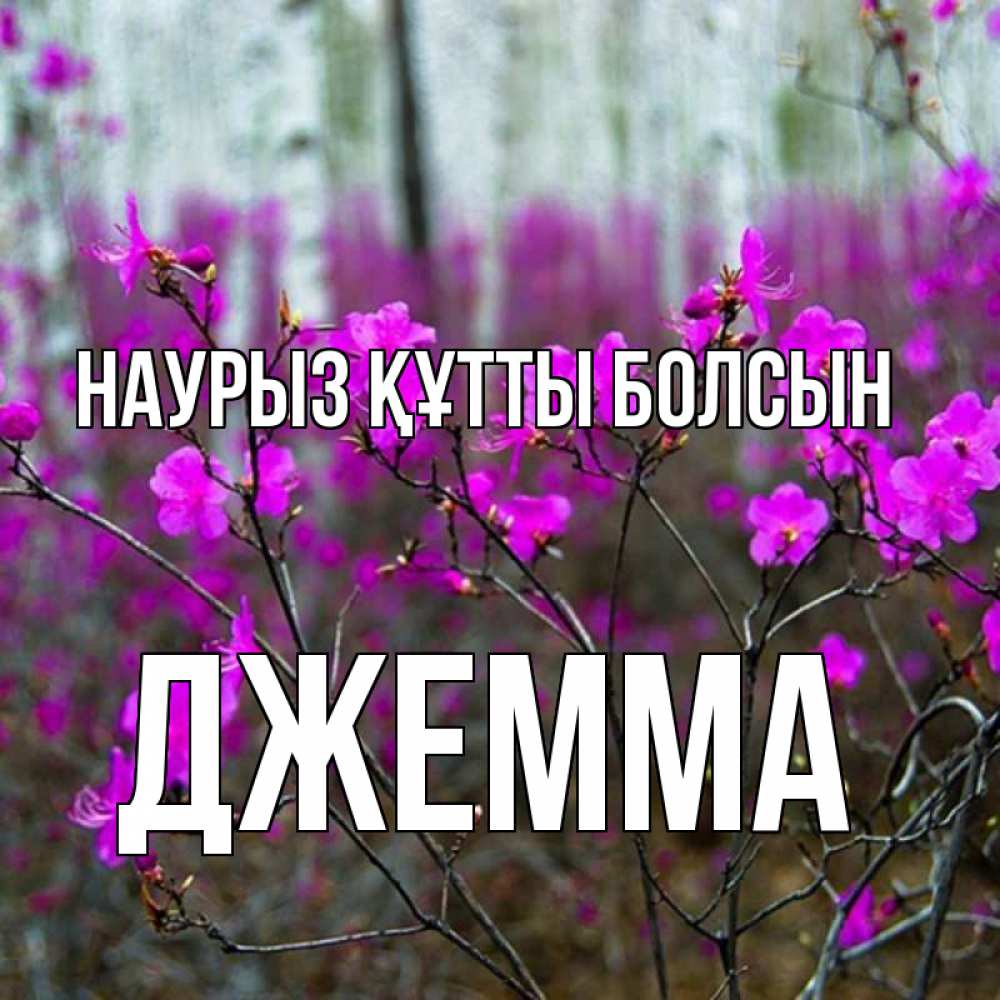 Күн сайын ашық хат с именем, Джемма Наурыз құтты болсын дикие цветы Онлайн тегін жүктеп алу тілектері бар керемет карта 