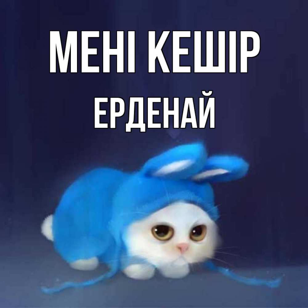 Күн сайын ашық хат с именем, Ерденай Мені кешір невинный котозай просит прощения Онлайн тегін жүктеп алу тілектері бар керемет карта 