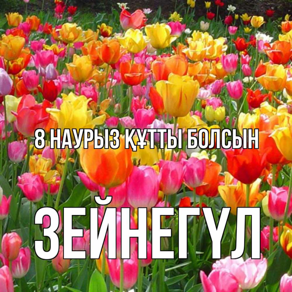 Күн сайын ашық хат с именем, ЗЕЙНЕГҮЛ 8 наурыз құтты болсын на международный женский день Онлайн тегін жүктеп алу тілектері бар керемет карта 