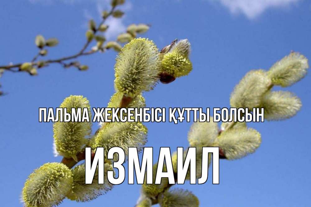 Күн сайын ашық хат с именем, Измаил Пальма жексенбісі құтты болсын верба Онлайн тегін жүктеп алу тілектері бар керемет карта 