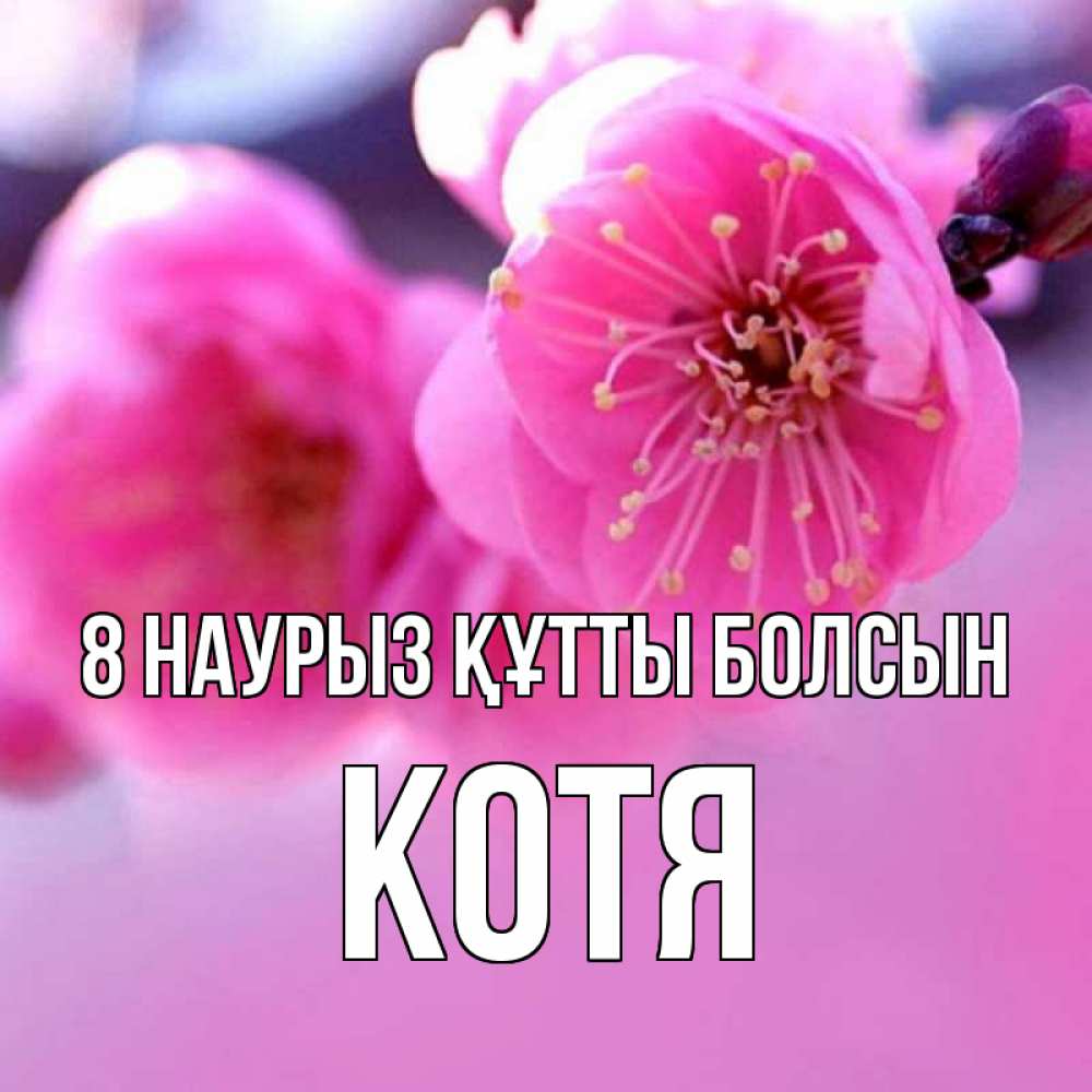 Күн сайын ашық хат с именем, Котя 8 наурыз құтты болсын международный женский день Онлайн тегін жүктеп алу тілектері бар керемет карта 