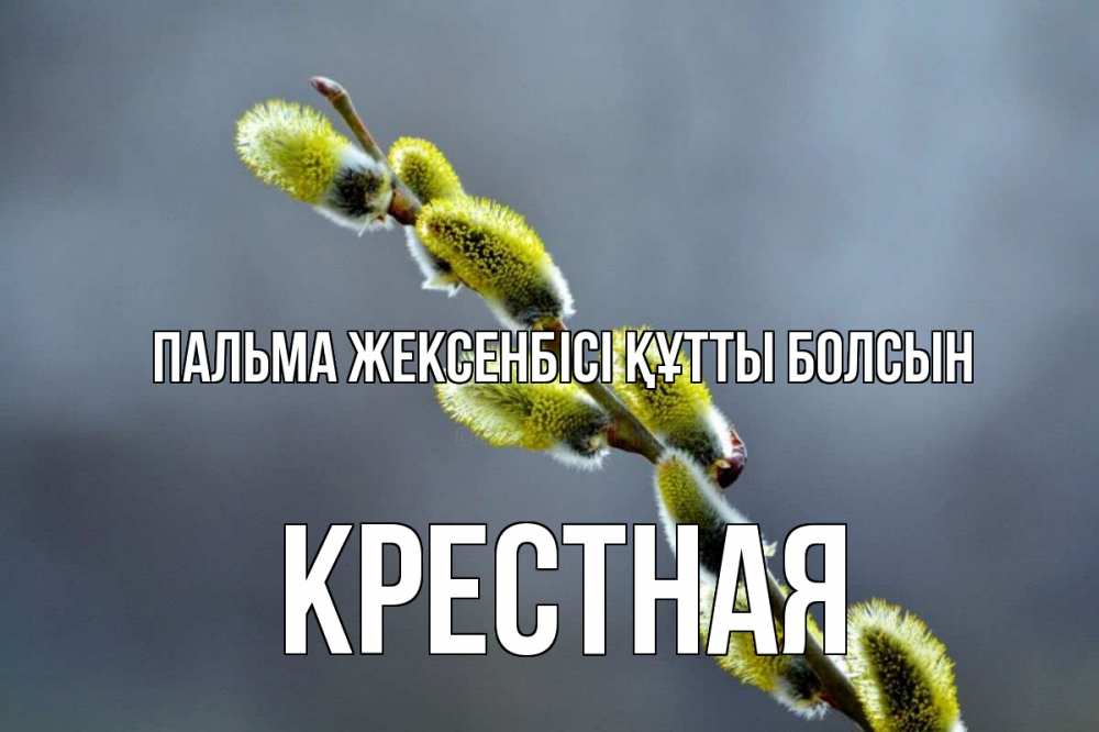 Күн сайын ашық хат с именем, Крестная Пальма жексенбісі құтты болсын верба Онлайн тегін жүктеп алу тілектері бар керемет карта 