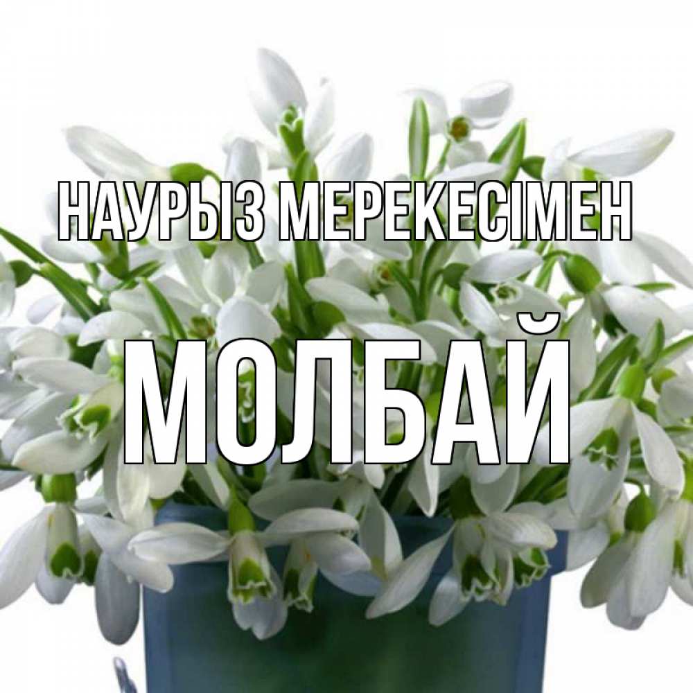 Күн сайын ашық хат с именем, МОЛБАЙ Наурыз мерекесімен цветы к наурызу новый год в Казахстане Онлайн тегін жүктеп алу тілектері бар керемет карта 