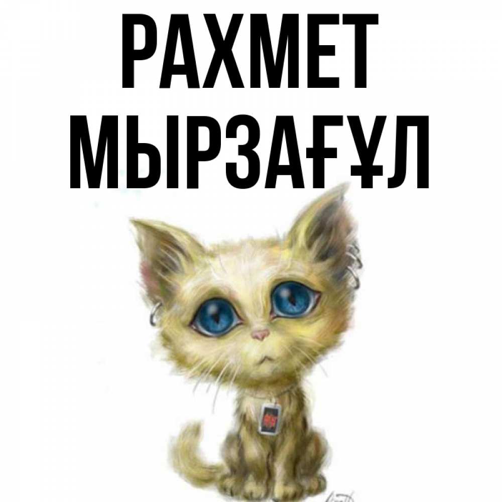 Күн сайын ашық хат с именем, Мырзағұл рахмет рисованный кот благодарит вас Онлайн тегін жүктеп алу тілектері бар керемет карта 