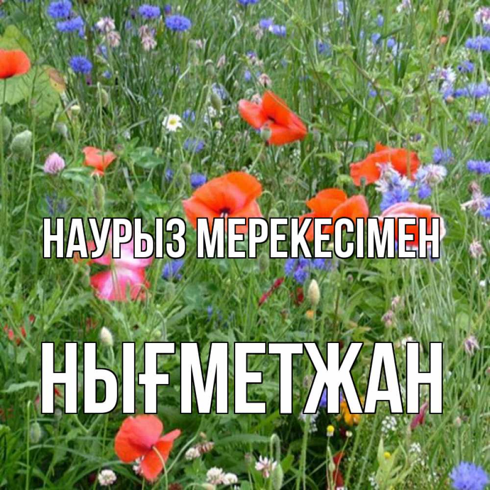 Күн сайын ашық хат с именем, НЫҒМЕТЖАН Наурыз мерекесімен праздник весны наурыз супер открытка Онлайн тегін жүктеп алу тілектері бар керемет карта 