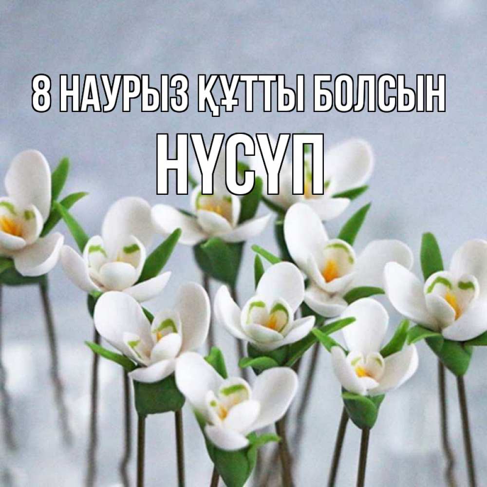 Күн сайын ашық хат с именем, НҮСҮП 8 наурыз құтты болсын весенние цветы Онлайн тегін жүктеп алу тілектері бар керемет карта 