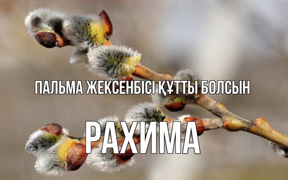 Күн сайын ашық хат с именем, РАХИМА Пальма жексенбісі құтты болсын Верба Онлайн тегін жүктеп алу тілектері бар керемет карта 