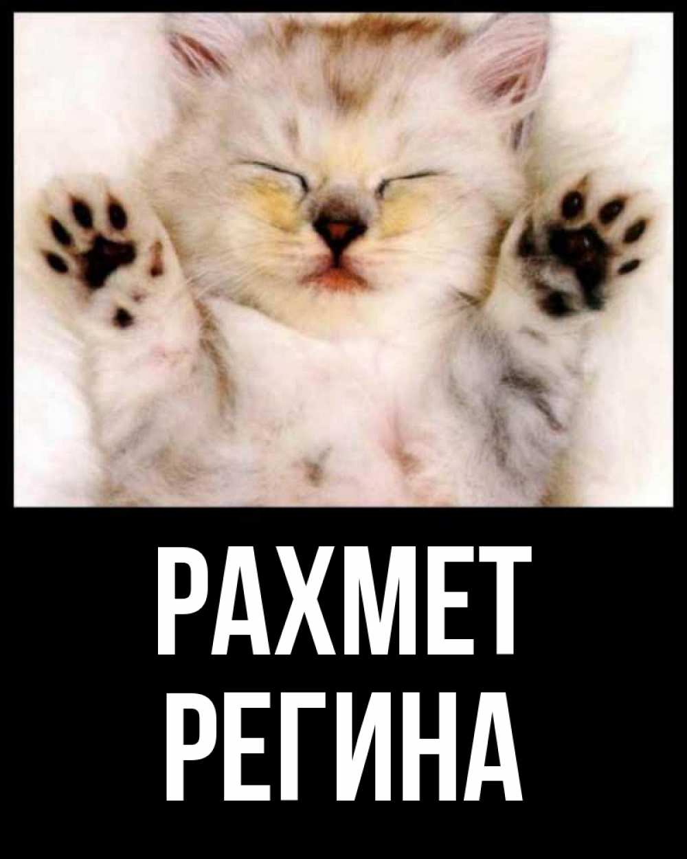 Күн сайын ашық хат с именем, Регина рахмет маленький котенок Онлайн тегін жүктеп алу тілектері бар керемет карта 