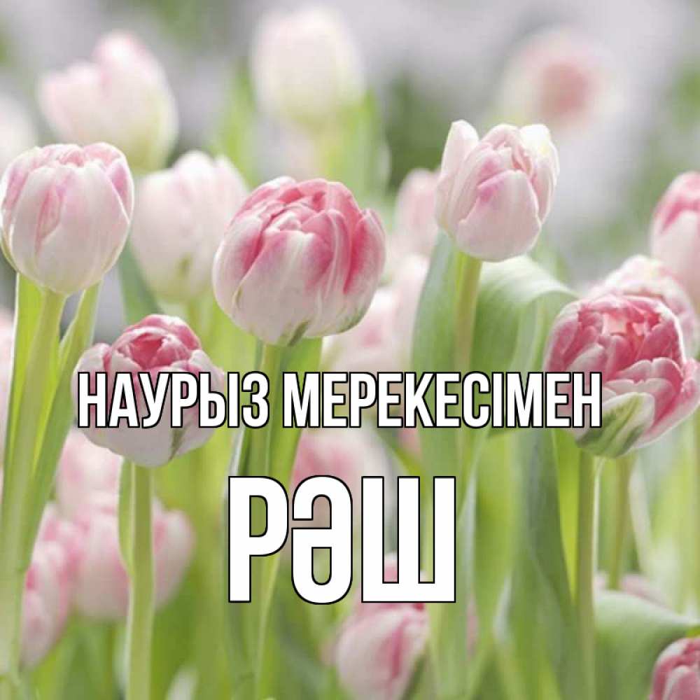 Күн сайын ашық хат с именем, РӘШ Наурыз мерекесімен цветы Онлайн тегін жүктеп алу тілектері бар керемет карта 