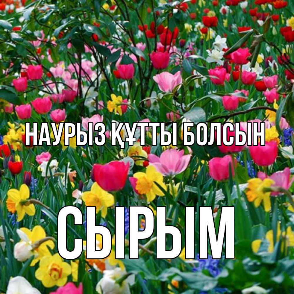 Күн сайын ашық хат с именем, СЫРЫМ Наурыз құтты болсын с наурызом поздравления для женщины Онлайн тегін жүктеп алу тілектері бар керемет карта 