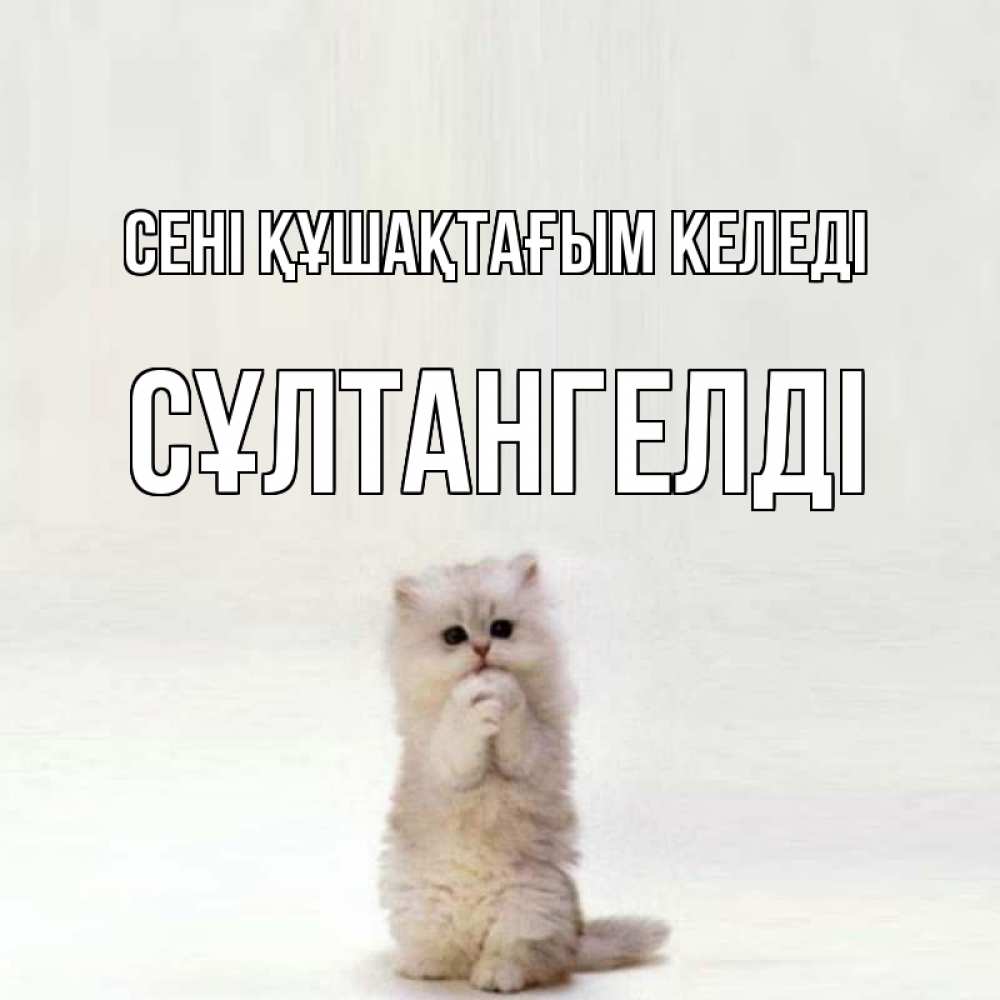 Күн сайын ашық хат с именем, СҰЛТАНГЕЛДІ сені құшақтағым келеді открытки с креативными подписями Онлайн тегін жүктеп алу тілектері бар керемет карта 