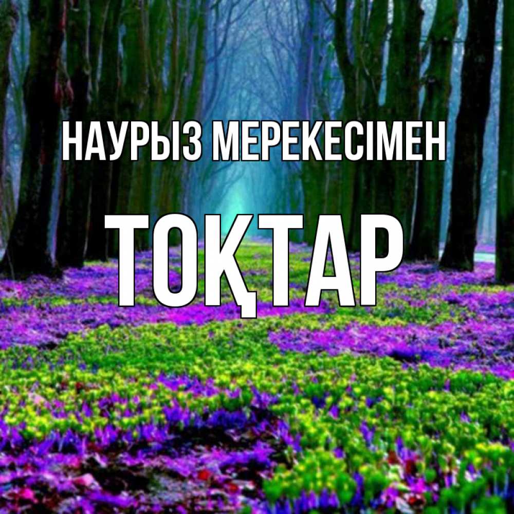 Күн сайын ашық хат с именем, ТОҚТАР Наурыз мерекесімен фиолетовые цветы в лесу 1 Онлайн тегін жүктеп алу тілектері бар керемет карта 