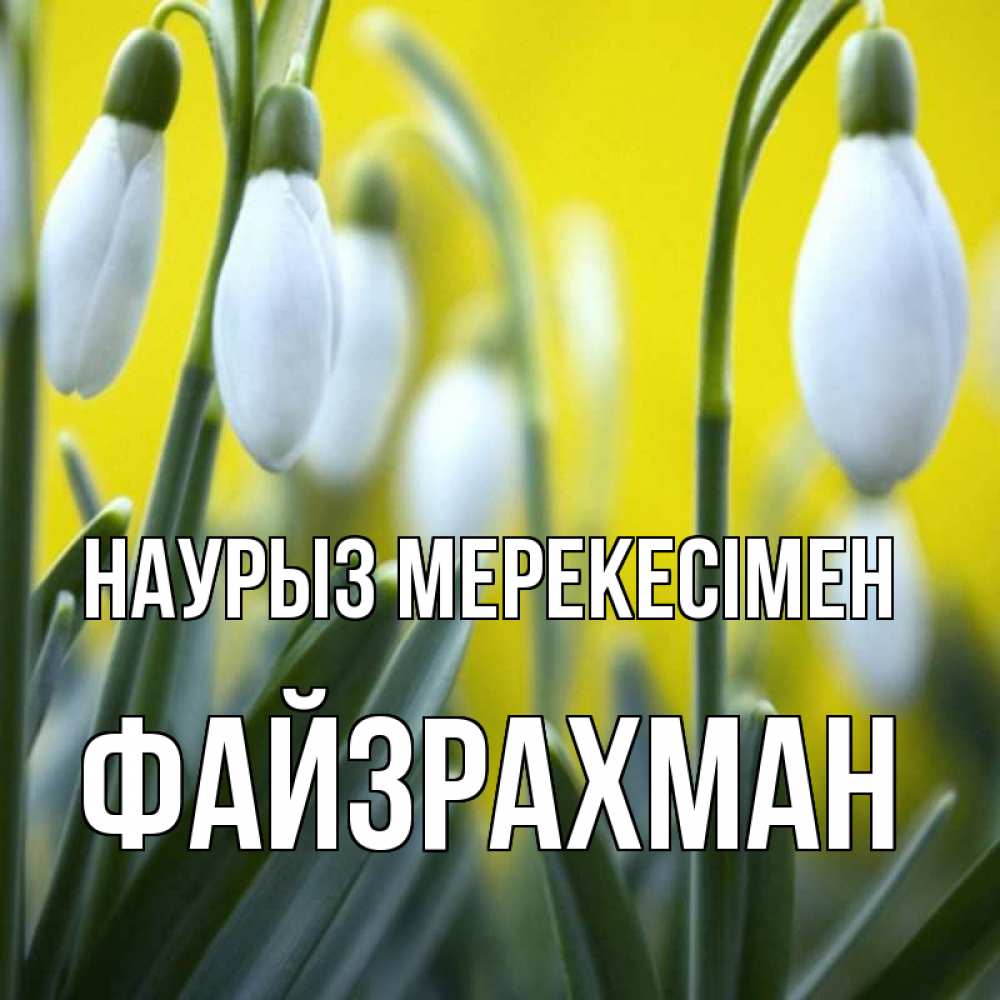 Күн сайын ашық хат с именем, ФАЙЗРАХМАН Наурыз мерекесімен весенние цветы Онлайн тегін жүктеп алу тілектері бар керемет карта 