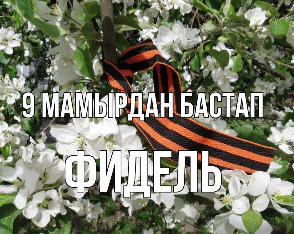 Күн сайын ашық хат с именем, Фидель 9 мамырдан бастап 9 мая Онлайн тегін жүктеп алу тілектері бар керемет карта 