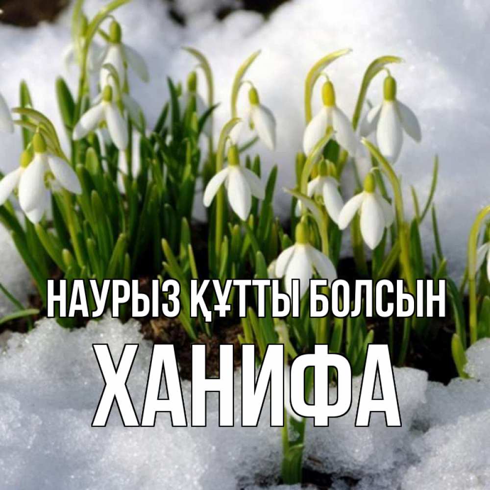 Күн сайын ашық хат с именем, ХАНИФА Наурыз құтты болсын цветы весенние Онлайн тегін жүктеп алу тілектері бар керемет карта 