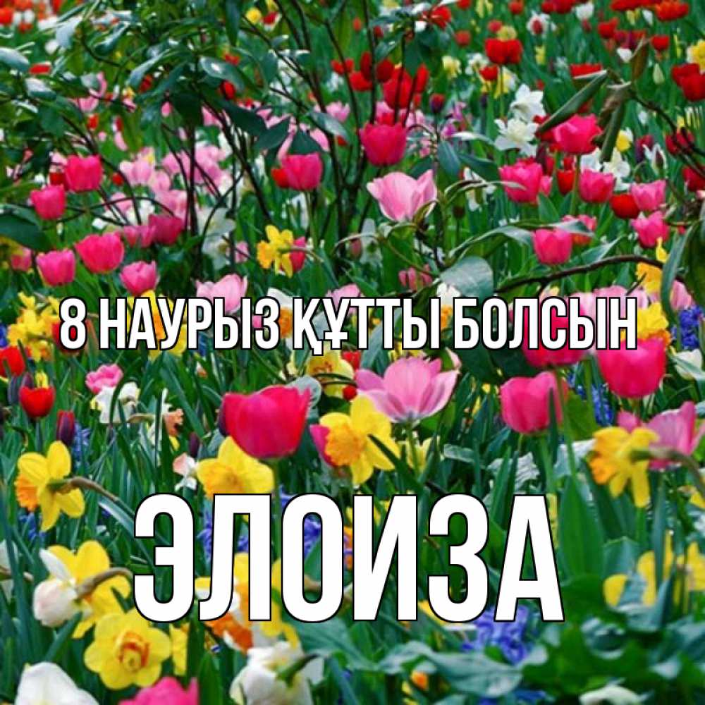 Күн сайын ашық хат с именем, Элоиза 8 наурыз құтты болсын с международным женским днем поздравления для женщины Онлайн тегін жүктеп алу тілектері бар керемет карта 