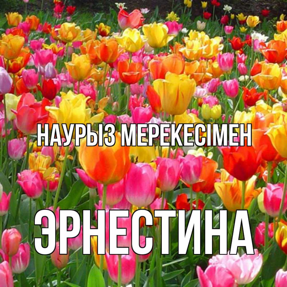 Күн сайын ашық хат с именем, Эрнестина Наурыз мерекесімен праздник весны наурыз 4 Онлайн тегін жүктеп алу тілектері бар керемет карта 