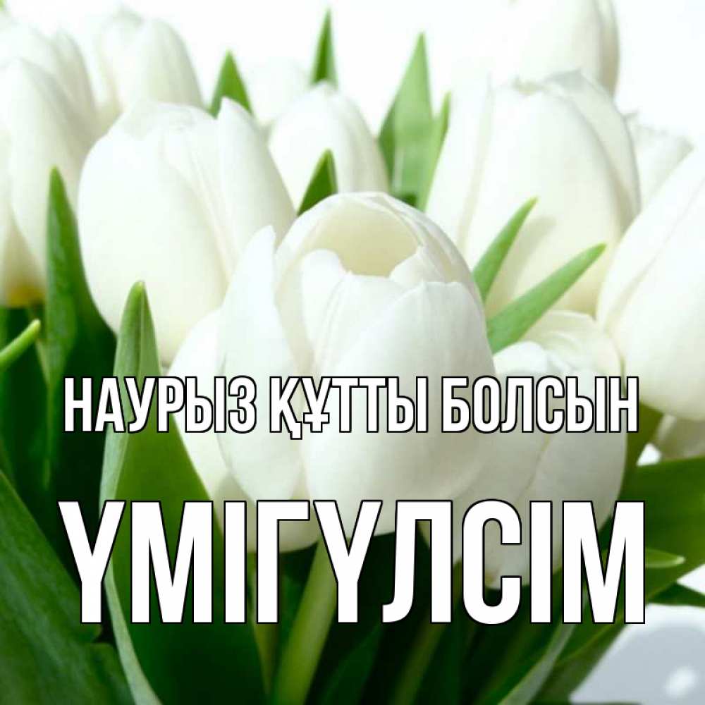 Күн сайын ашық хат с именем, ҮМІГҮЛСІМ Наурыз құтты болсын цветы Онлайн тегін жүктеп алу тілектері бар керемет карта 