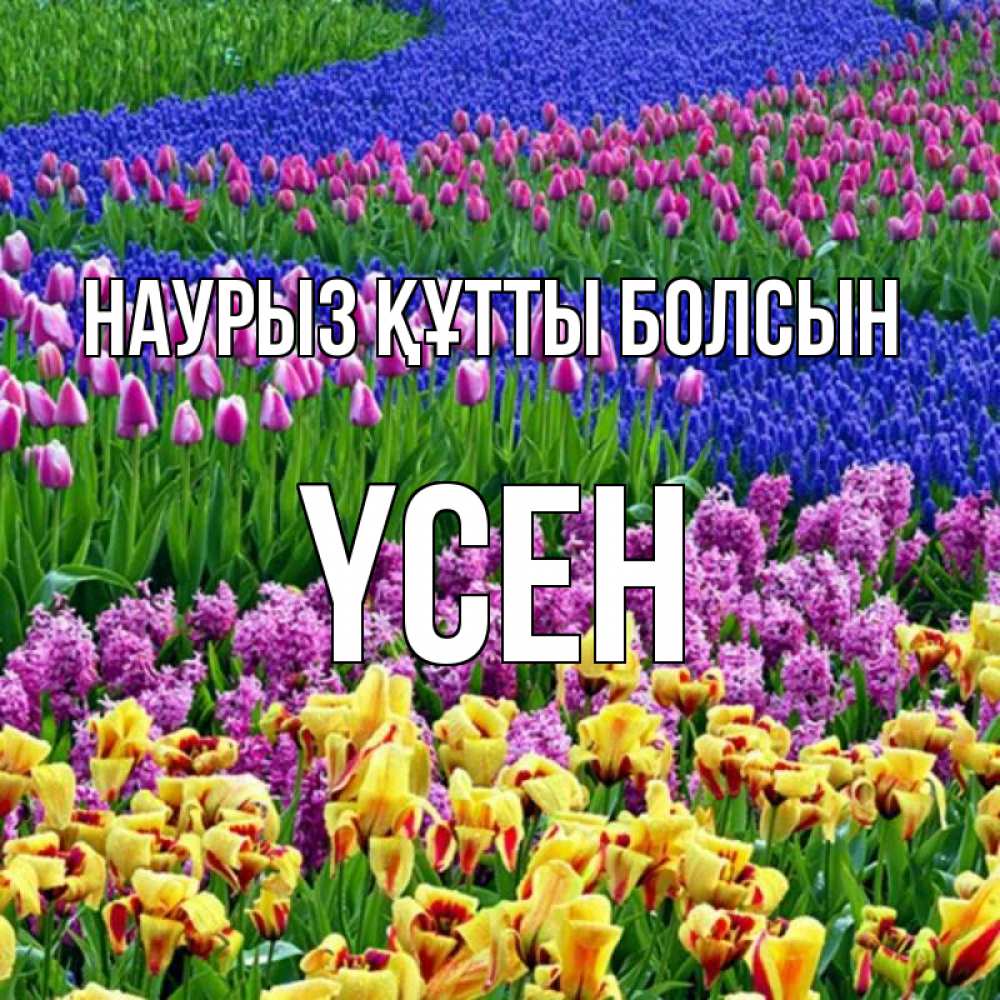 Күн сайын ашық хат с именем, ҮСЕН Наурыз құтты болсын цветы Онлайн тегін жүктеп алу тілектері бар керемет карта 