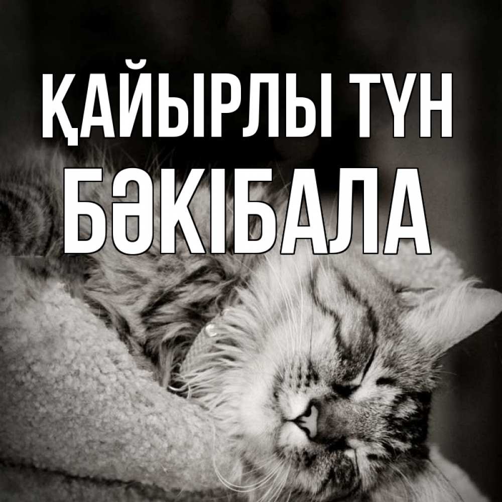 Күн сайын ашық хат с именем, БӘКІБАЛА Қайырлы түн котярик пушистый Онлайн тегін жүктеп алу тілектері бар керемет карта 