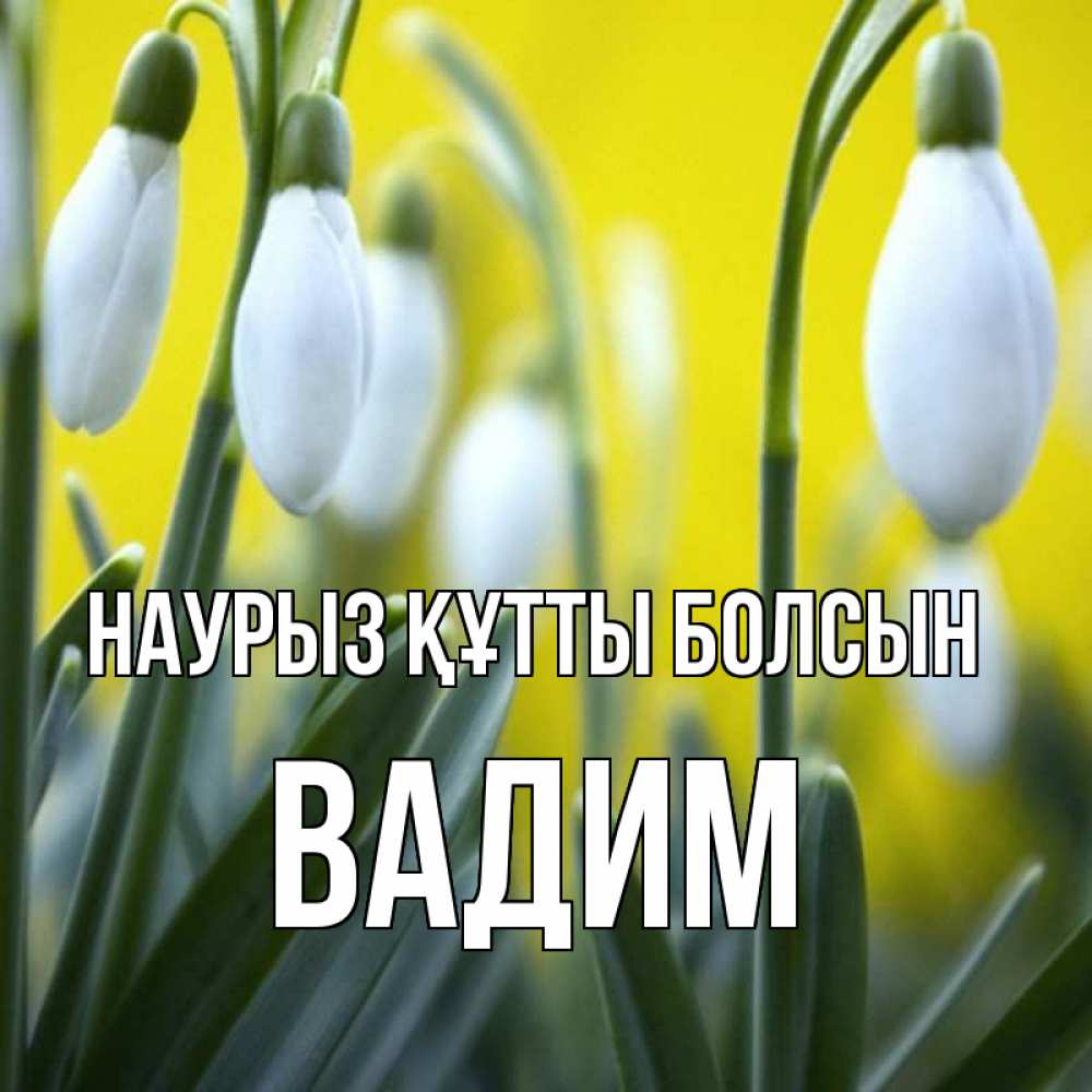 Күн сайын ашық хат с именем, Вадим Наурыз құтты болсын весенние цветы Онлайн тегін жүктеп алу тілектері бар керемет карта 