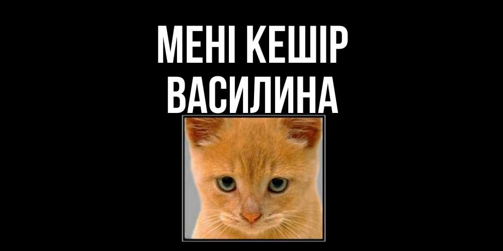 Күн сайын ашық хат с именем, Василина Мені кешір рыжий грустный кот просит прощения Онлайн тегін жүктеп алу тілектері бар керемет карта 