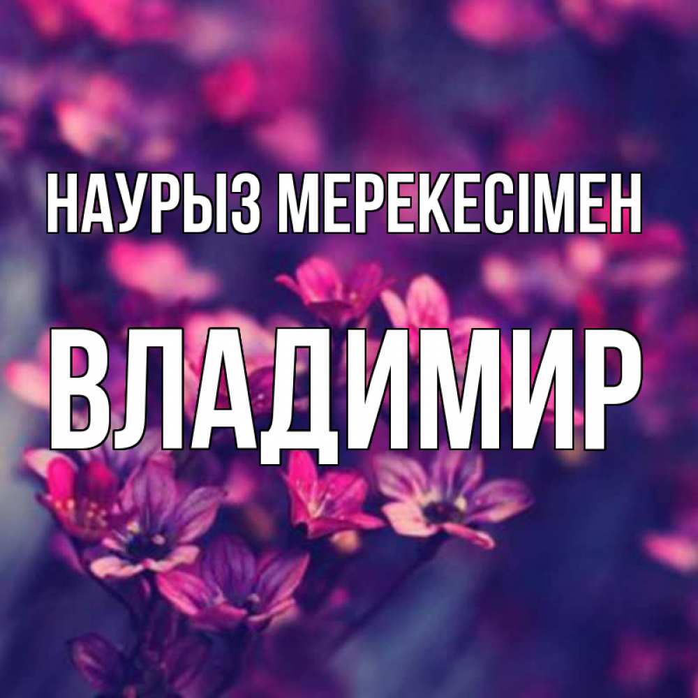 Күн сайын ашық хат с именем, Владимир Наурыз мерекесімен небольшие цветы 1 Онлайн тегін жүктеп алу тілектері бар керемет карта 
