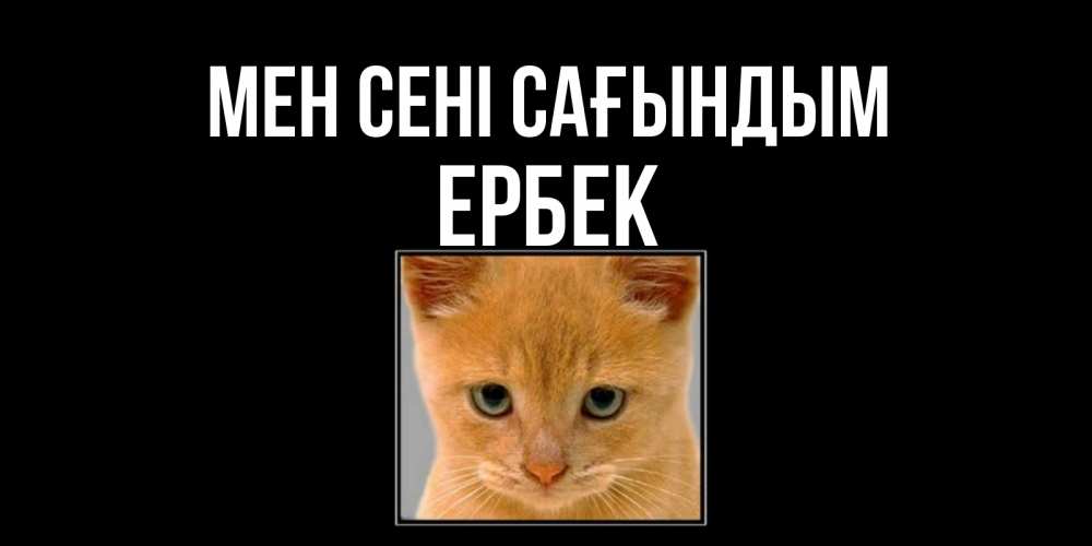 Күн сайын ашық хат с именем, Ербек Мен сені сағындым открытки рыжий котенок скучает по тебе Онлайн тегін жүктеп алу тілектері бар керемет карта 