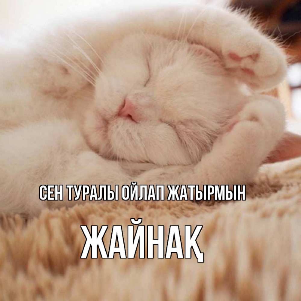 Күн сайын ашық хат с именем, Жайнақ Сен туралы ойлап жатырмын для любимой девушки милота Онлайн тегін жүктеп алу тілектері бар керемет карта 