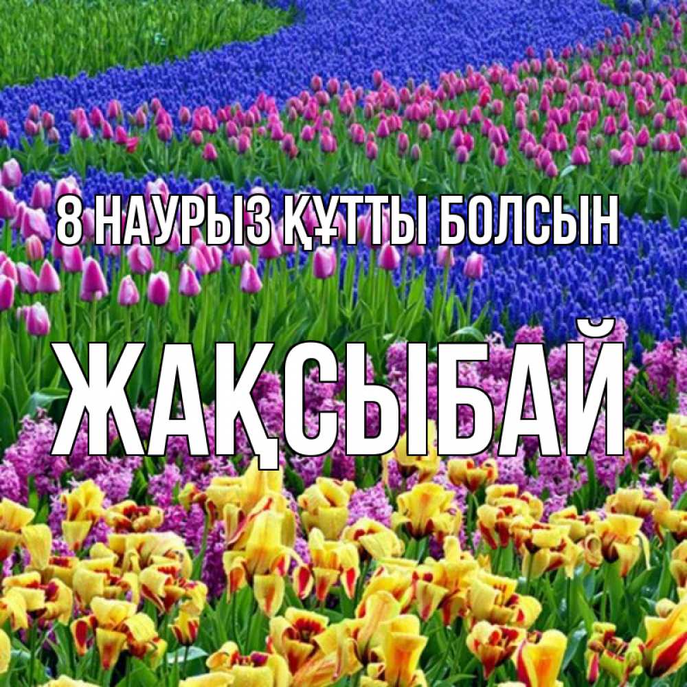 Күн сайын ашық хат с именем, Жақсыбай 8 наурыз құтты болсын цветы Онлайн тегін жүктеп алу тілектері бар керемет карта 