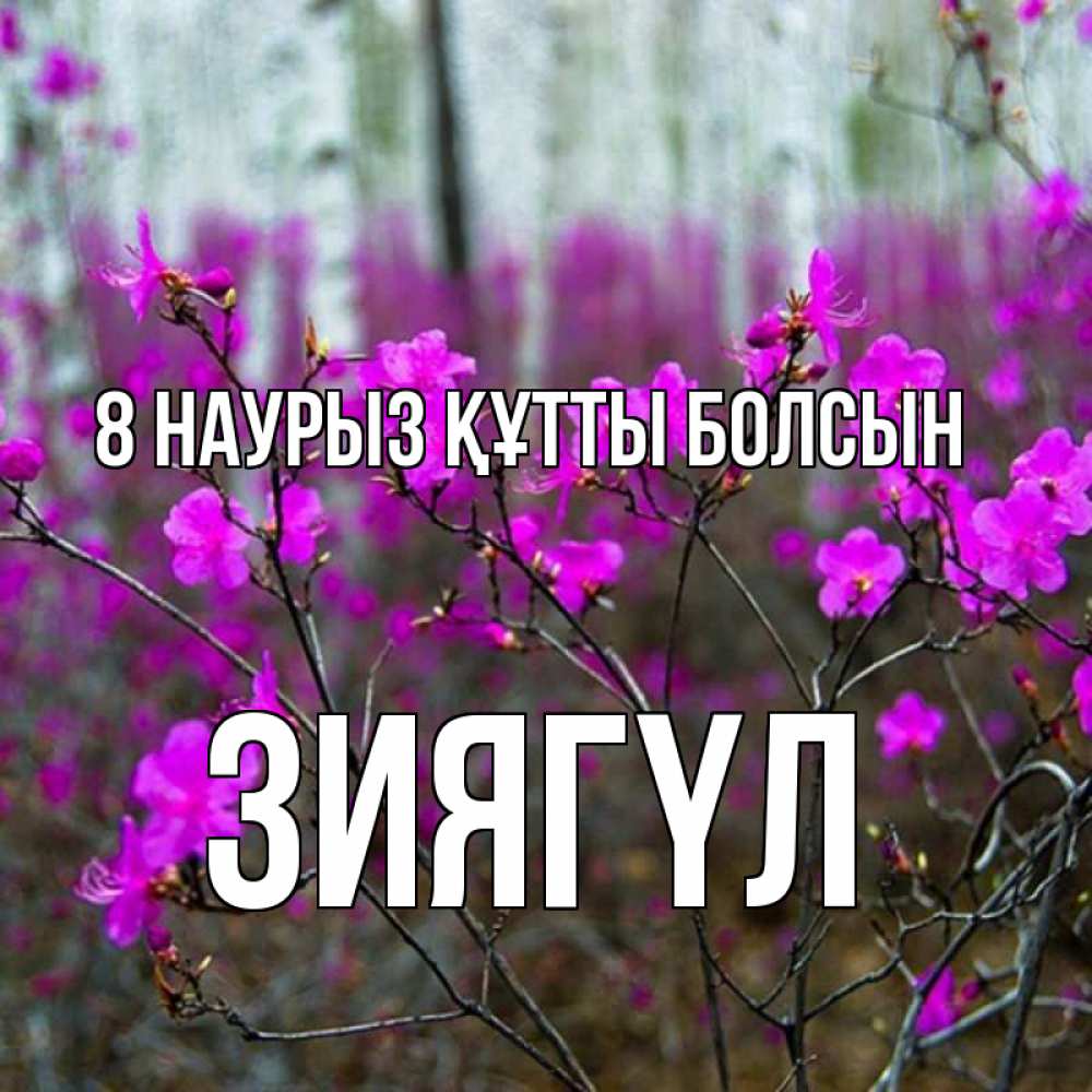 Күн сайын ашық хат с именем, ЗИЯГҮЛ 8 наурыз құтты болсын дикие цветы Онлайн тегін жүктеп алу тілектері бар керемет карта 