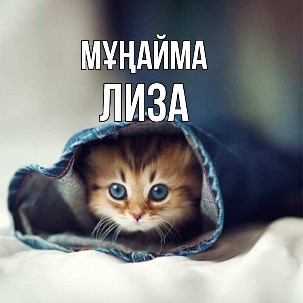 Күн сайын ашық хат с именем, Лиза Мұңайма рыжик котик Онлайн тегін жүктеп алу тілектері бар керемет карта 
