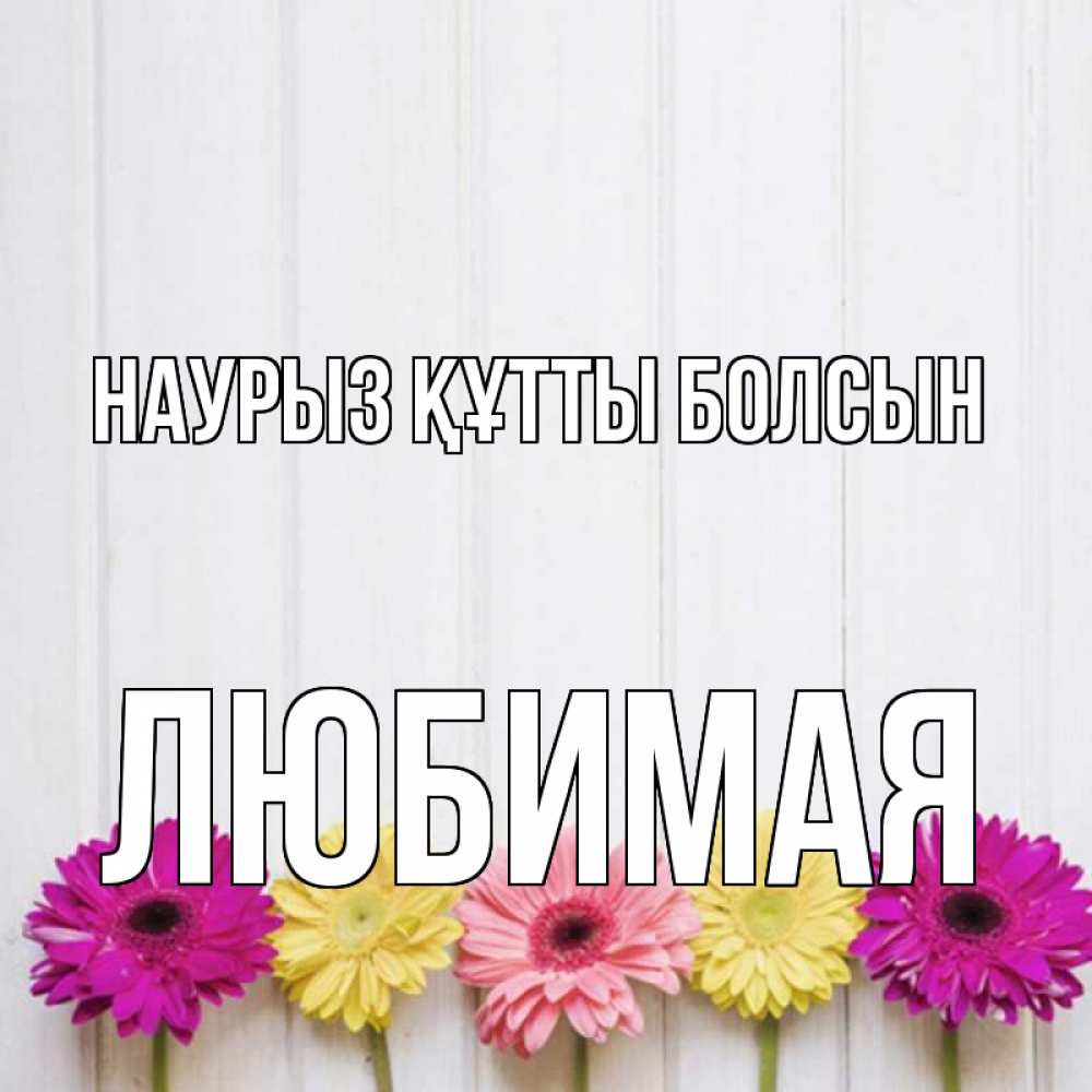 Күн сайын ашық хат с именем, Любимая Наурыз құтты болсын женщинам 1 Онлайн тегін жүктеп алу тілектері бар керемет карта 