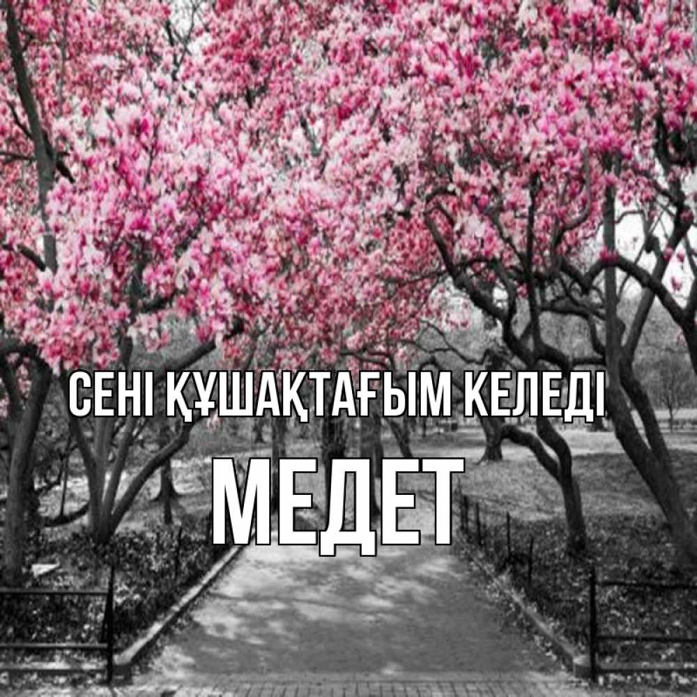 Күн сайын ашық хат с именем, МЕДЕТ сені құшақтағым келеді обработанное фото Онлайн тегін жүктеп алу тілектері бар керемет карта 